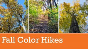 Fall Color Hikes in Brentwood, TN at Owl's Hill Nature Sanctuary.