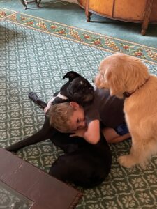 Dog-Friendly Hotel Franklin Tenn.