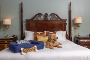 Dog-Friendly Hotel Nashville Tenn