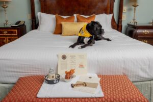 Dog-Friendly Hotels Franklin, Nashville Tenn