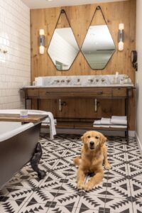 Dog-Friendly Hotels Nashville, Franklin TN