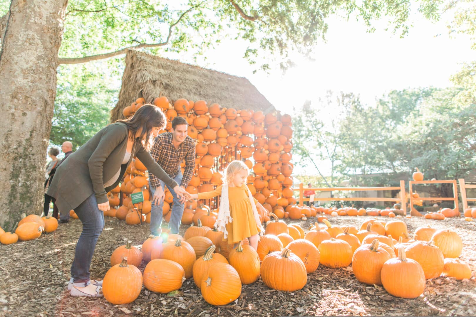 Family having fun at Cheekwood Harvest Annual Fall Festival in Nashville, TN.