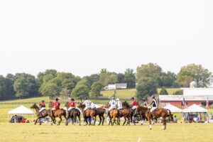 Franklin Polo Match Chukkers for Charity.