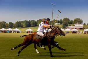 Polo Action Chukkers for Charity Franklin.