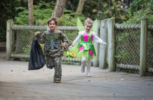 Halloween at the Nashville Zoo