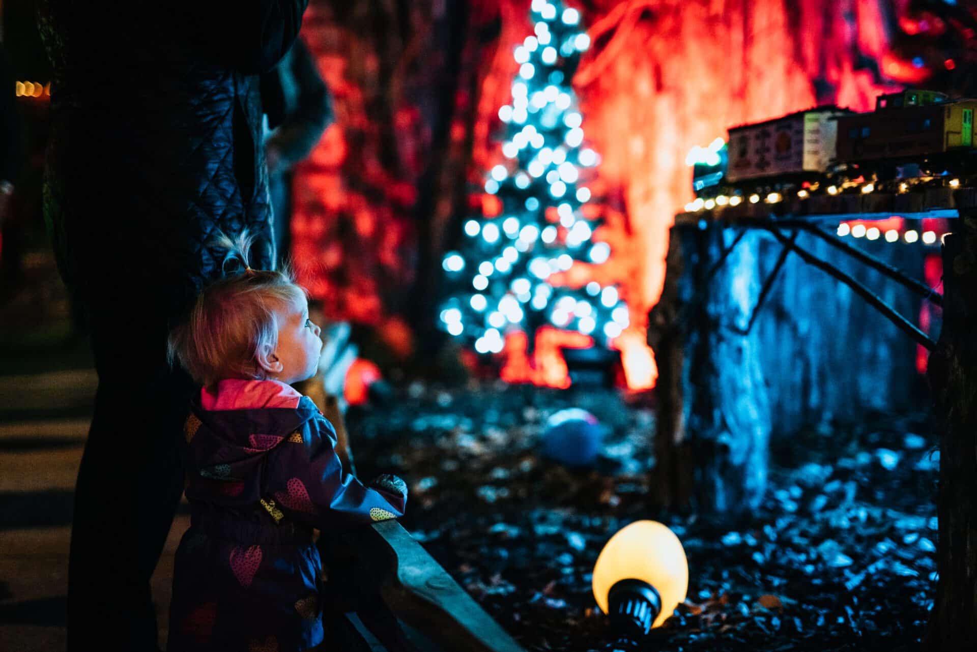 NathanZucker_Nashville Holiday Lights Festival Cheekwood.