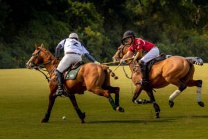 Polo field action at Chukkers for Charity Franklin Event.