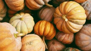 Setting The Thanksgiving Table with Gracious Home - Thanksgiving Pumpkins