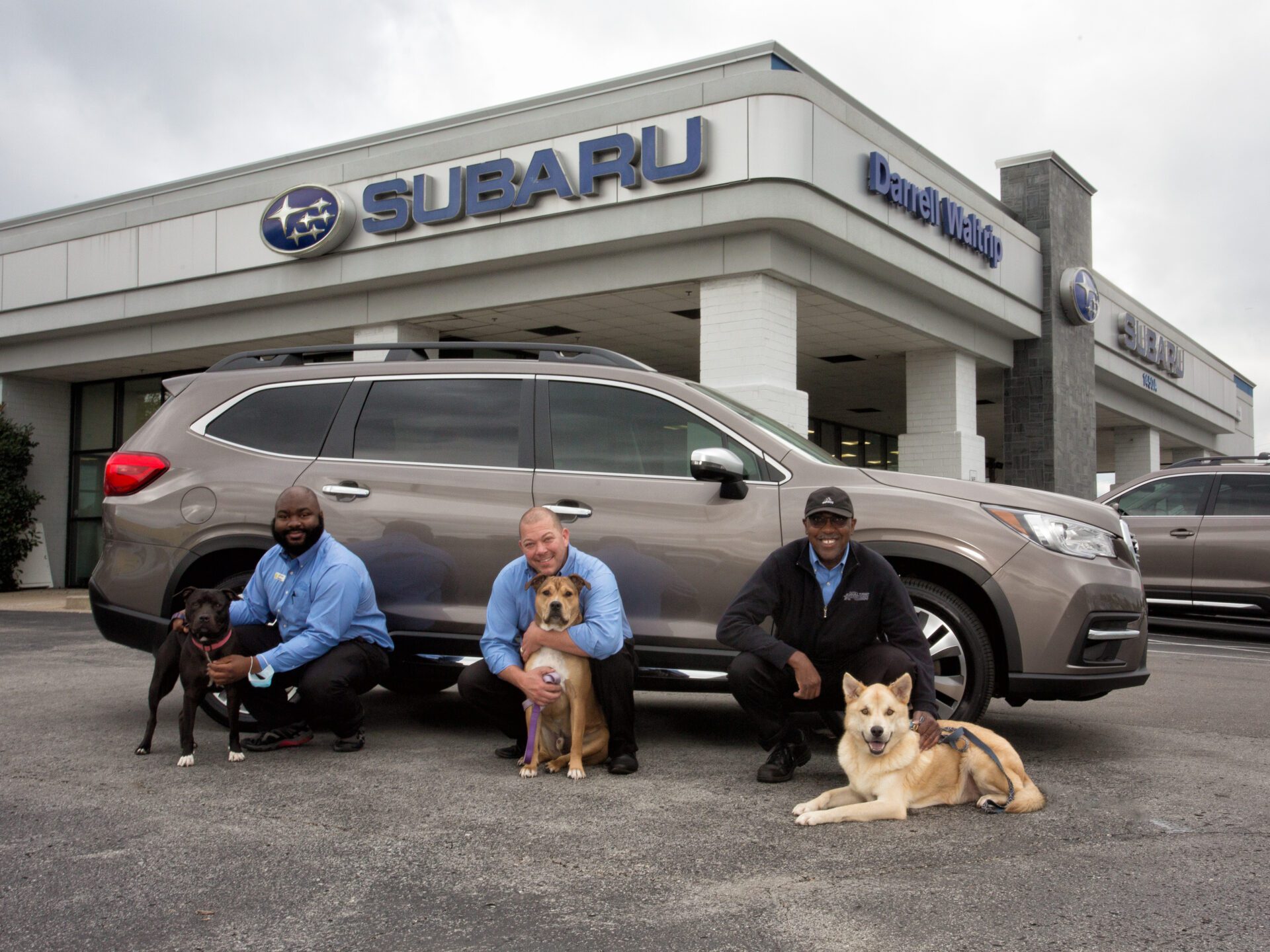 DW_Subaru_withDogs_staff_8x10