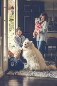 Mobivet veterinarian Brentwood, Franklin