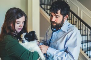 Mobivet veterinarian Brentwood, Nashville