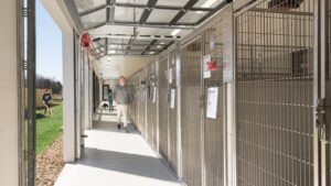 Williamson County Animal Center in Franklin, TN