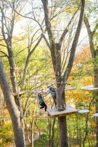 Ropes Course, Southall Farm & Inn, Luxury Spa Resort in Franklin, TN.
