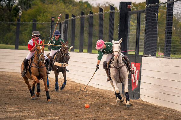 Franklin Polo Academy Franklin, TN 2
