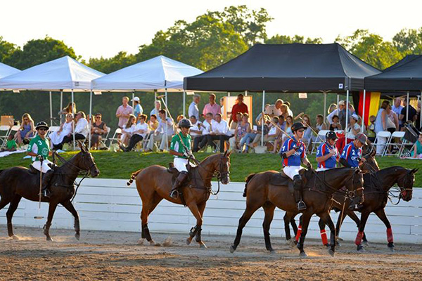 Franklin Polo Academy Franklin, TN 3