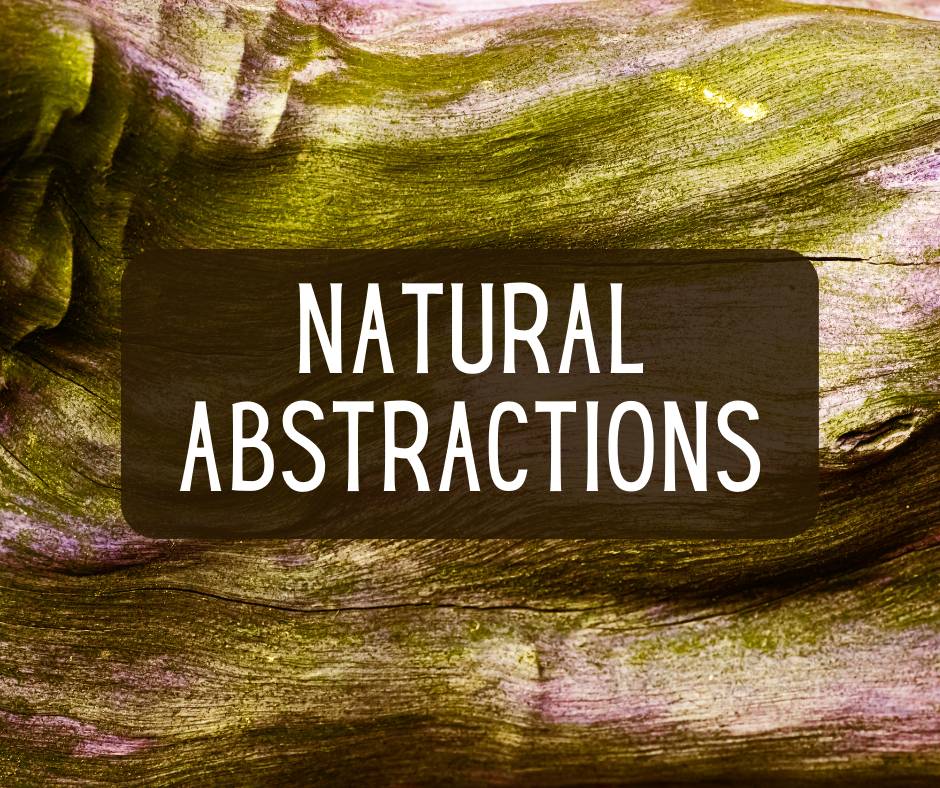 Natural Abstractions Painting Class in Franklin, TN at Williamson County Parks and Recreation's Franklin Recreation Complex.