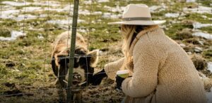 Greenhouse Dinner at McKinney Farm Franklin, TN 4