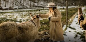 Greenhouse Dinner at McKinney Farm Franklin, TN 6