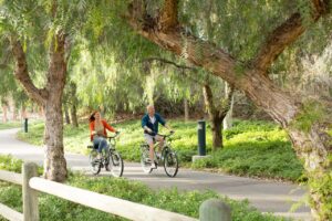 Pedego Electric Bikes Franklin Tennessee