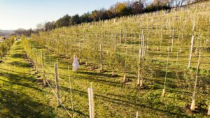 Southall-Farm-Inn-Franklin_Orchard-Heather Durham Photography.