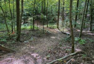 Wilkins Branch Mountain Bike Park Franklin TN