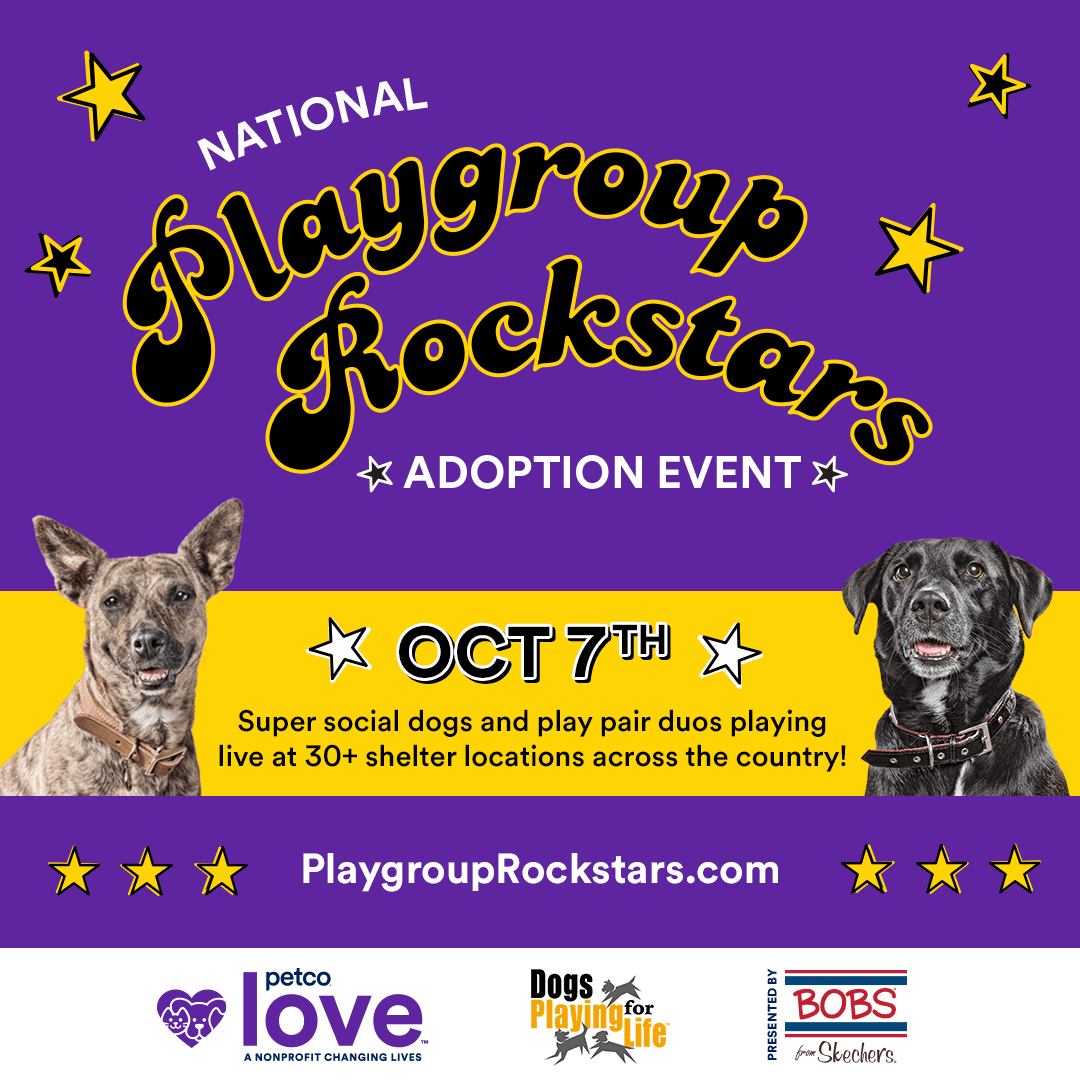 Playgroup Rockstars_Graphics_PrimaryGraphic