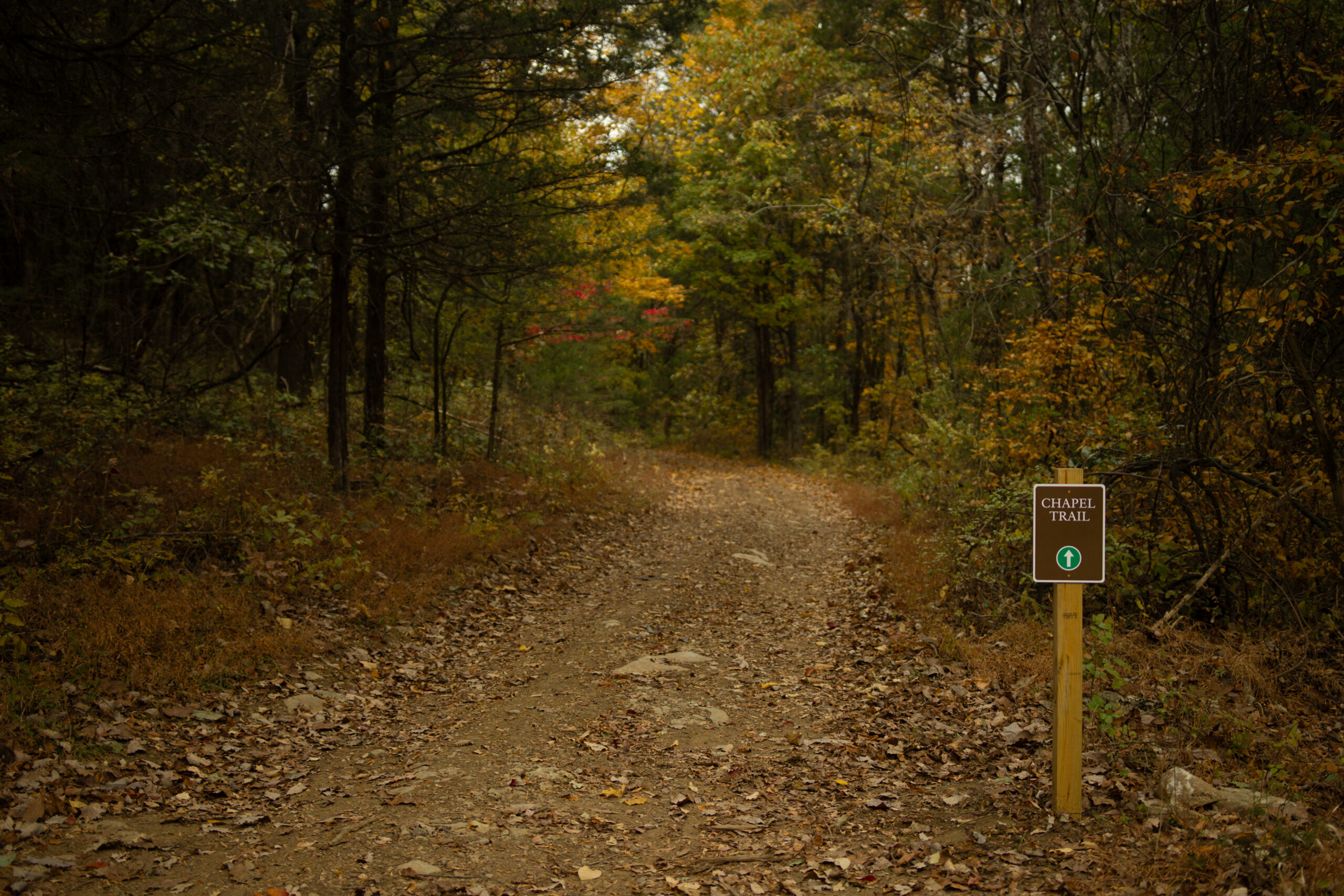 Peacock Hill Nature Park College Grove Tenn. 6