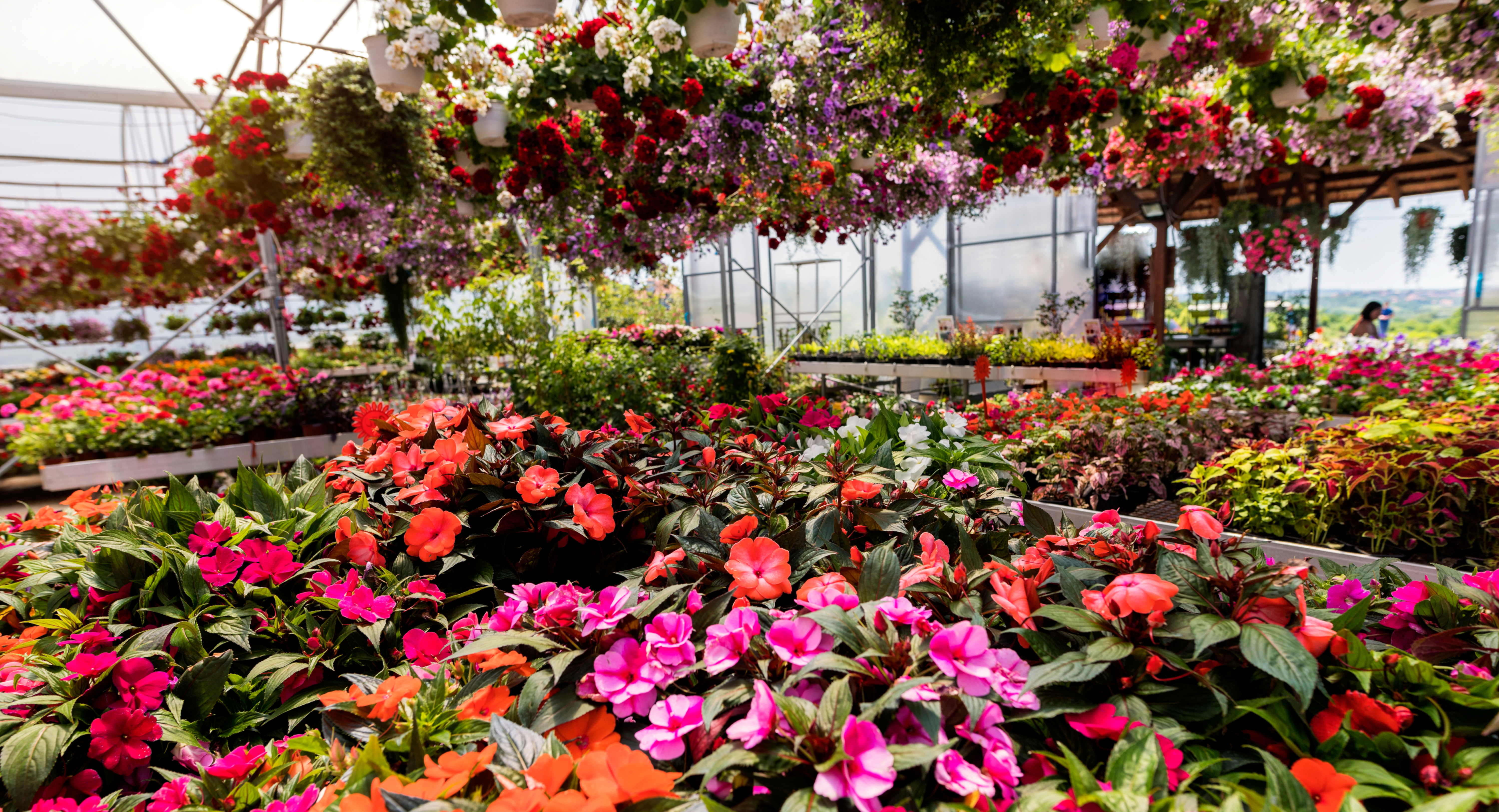 Garden Center in Williamson County, TN, resource or plants and seeds.