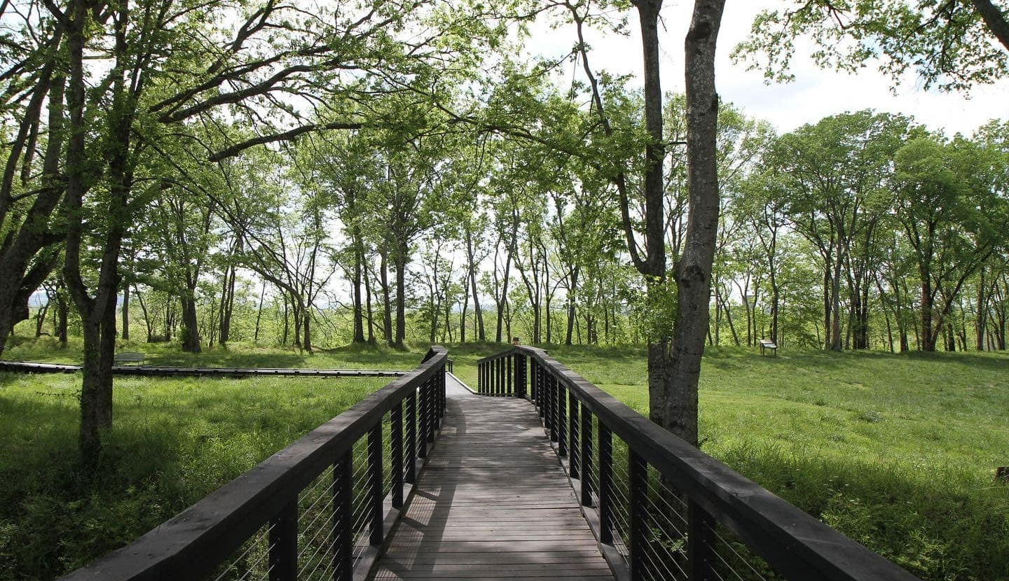 Franklin, Tennessee park and walking trail.