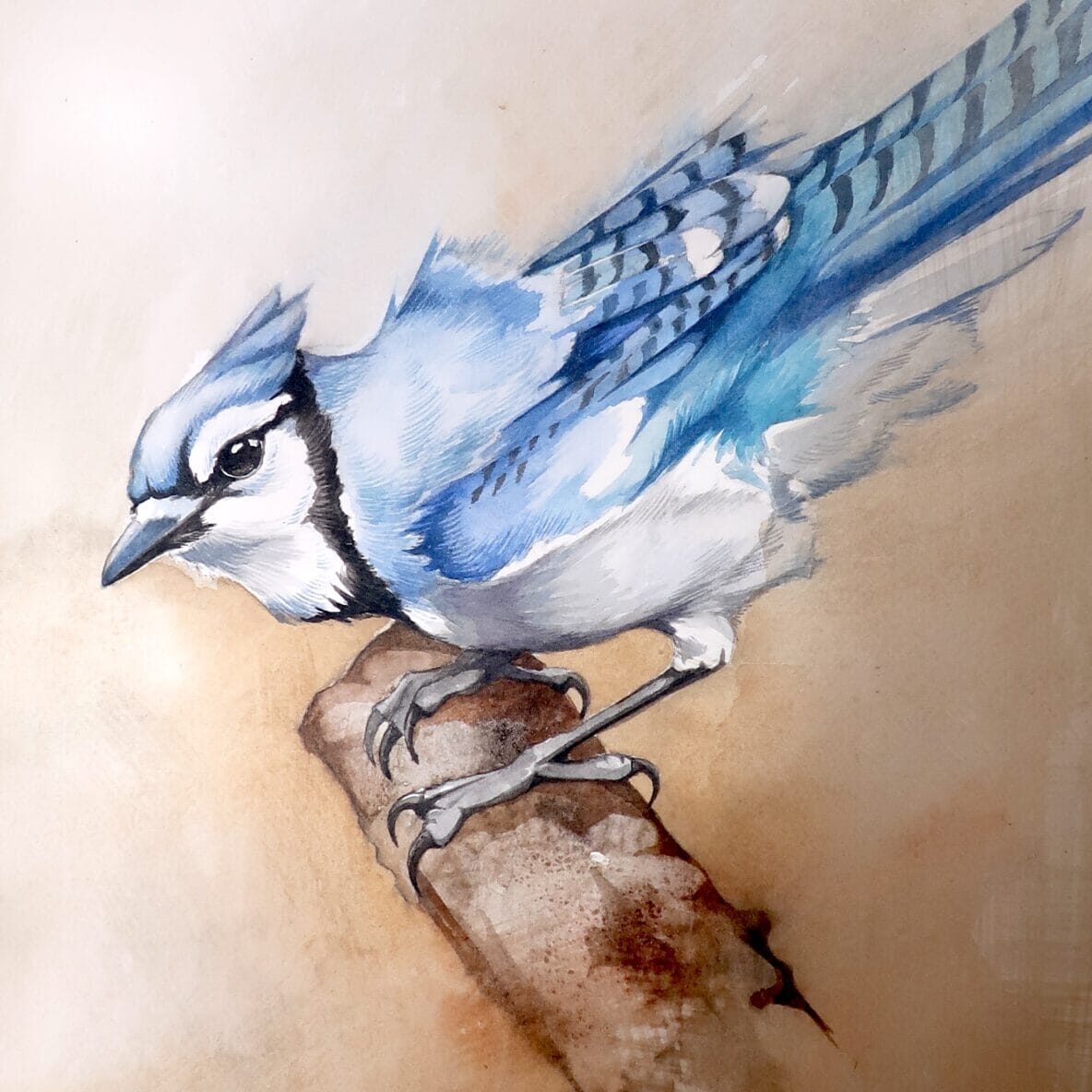 Jennifer Anderson Exhibition + Demo in Leiper's Fork at The Copper Fox Gallery.