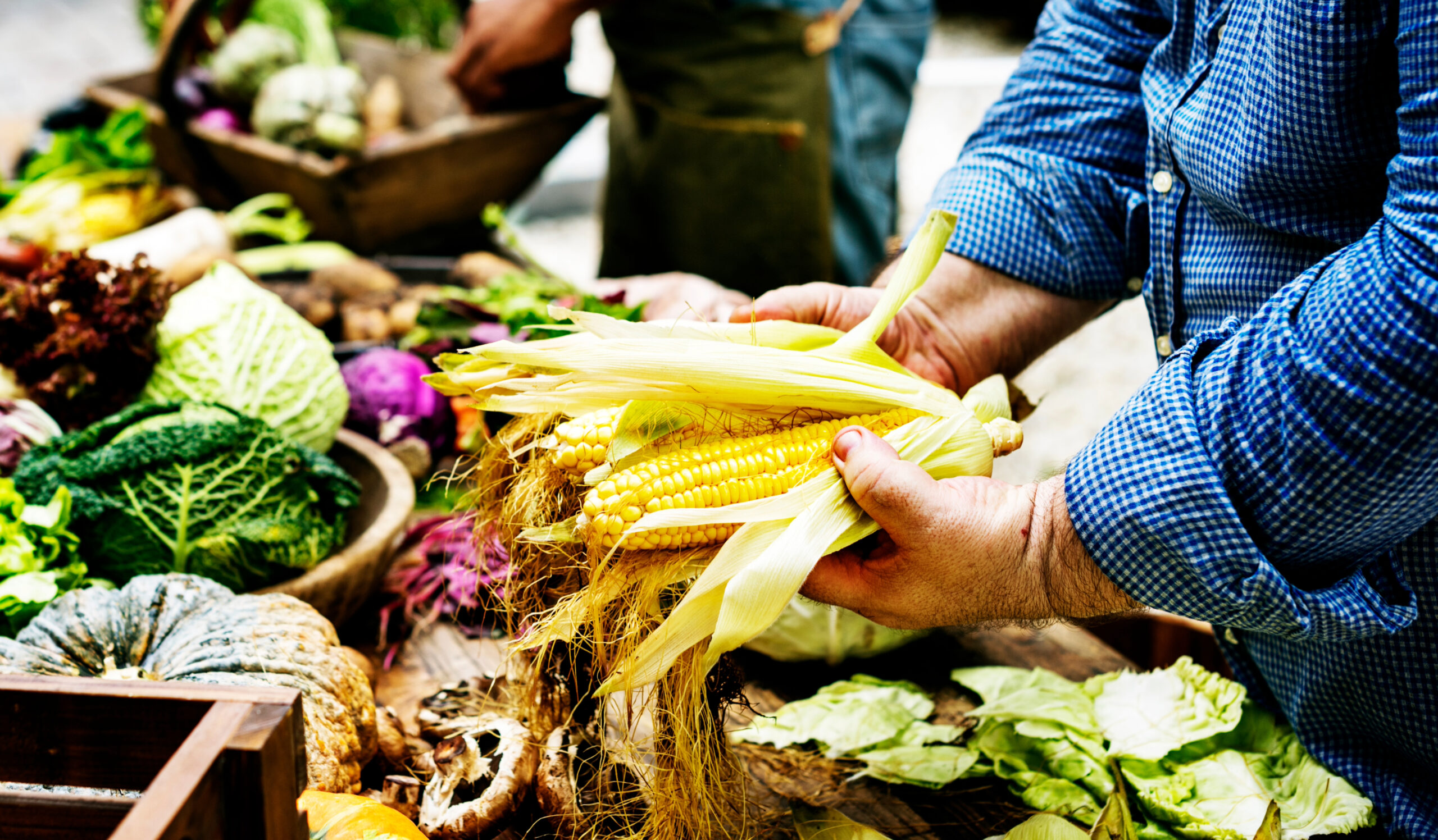farmer selling corn at farmers market williamson county tn (1)