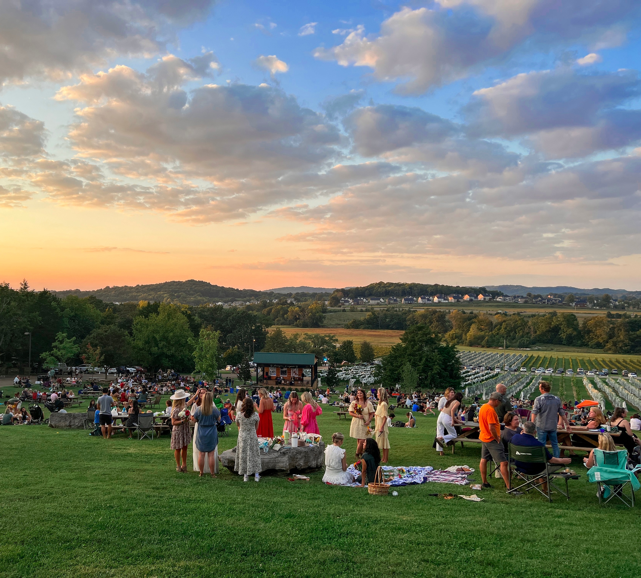 Arrington Vineyards Music in the Vines at the Winery and Vineyard in Arrington, TN.