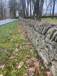 Dry Stack Stone Walls 1
