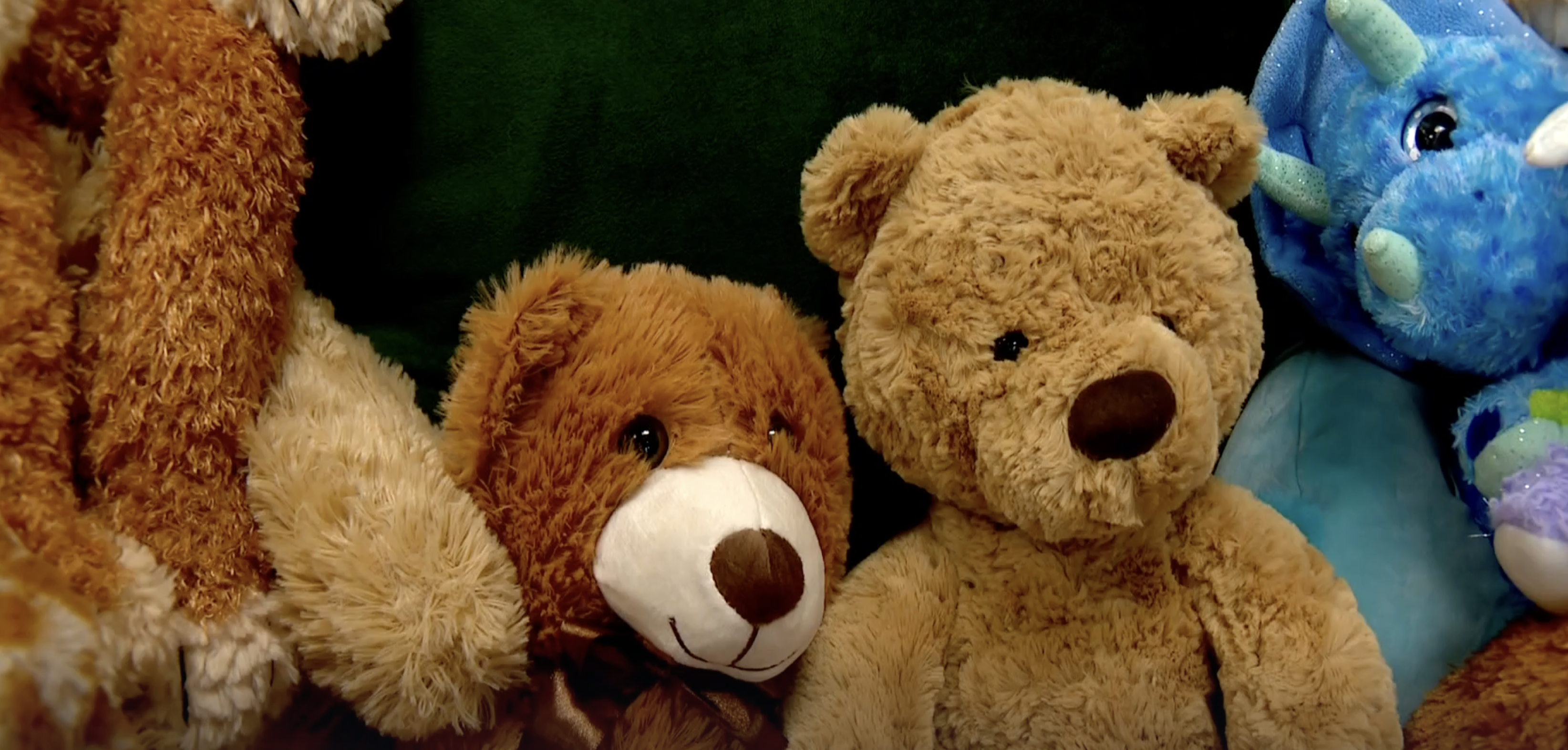 Stuffed animals collected from the Stuffed Animal Drive for Davis House Child Advocacy Center.