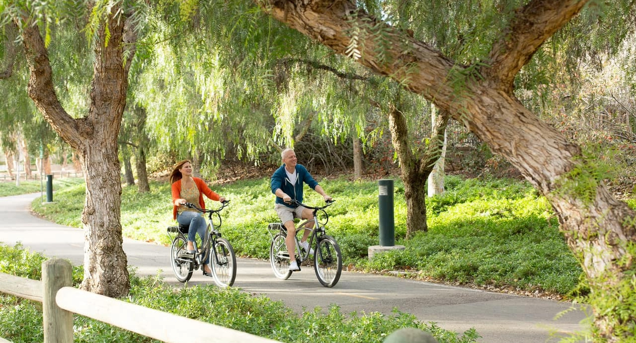 Pedego Electric Bikes Franklin