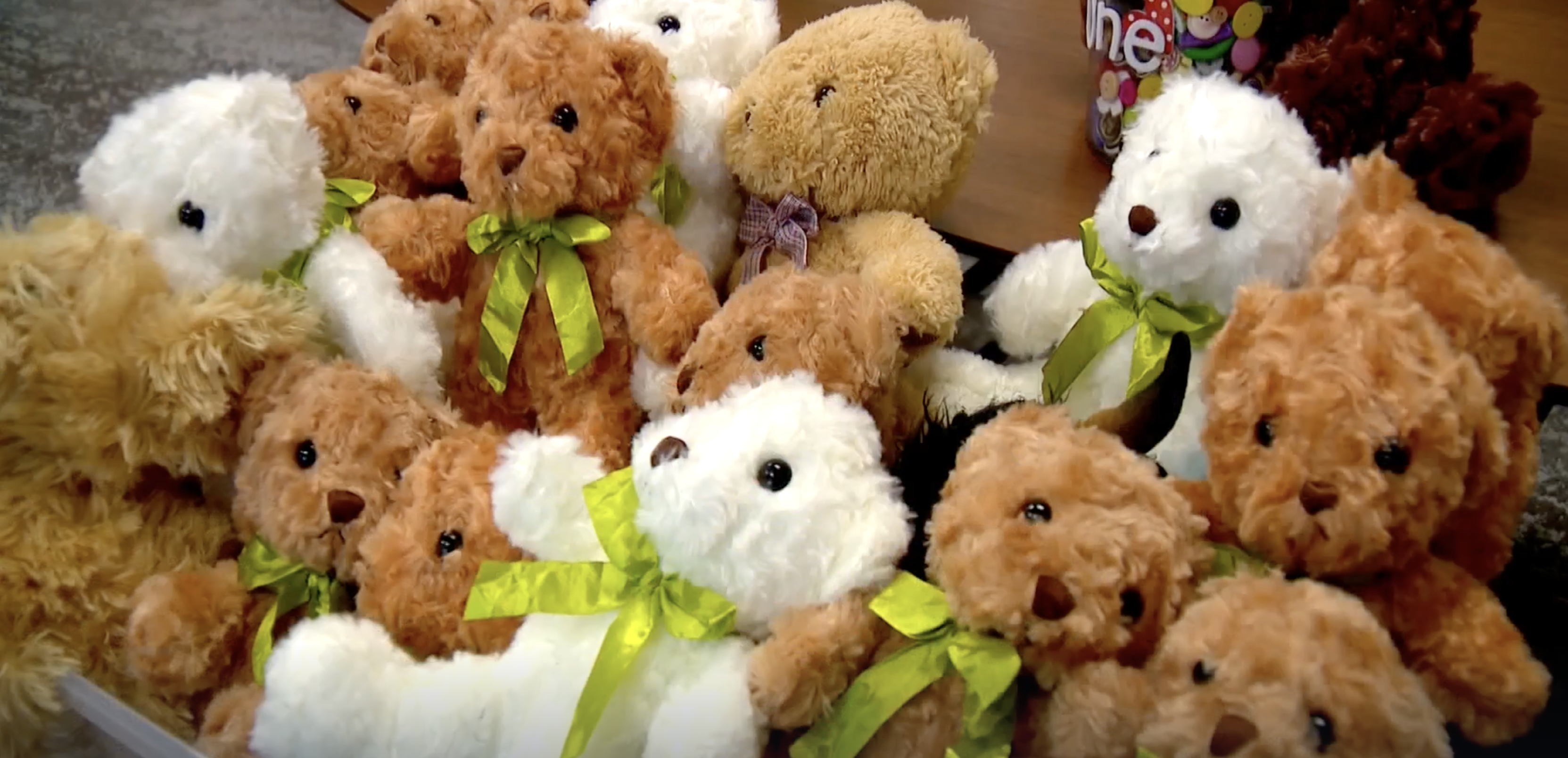 Stuffed Animals at Davis House.