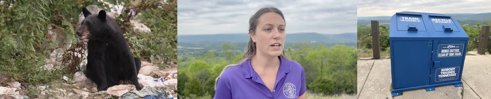 Summer means road trips and increased bear activity_Nashville, TN.