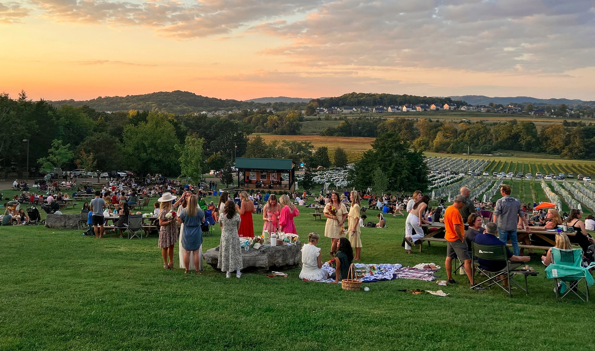 Arrington Vineyards in Arrington, TN, wine country, picnics, dining, celebrations and more in beautiful scenery.