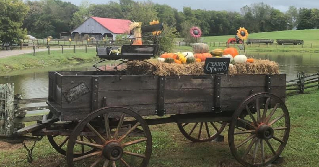 Gentry Farm in Franklin, Tennessee, wagon rides with pumpkins in the wagon, and farm views in the background.