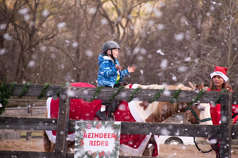 Kindred Spirits Farm- Winter Wonderland Franklin, Tenn. 2