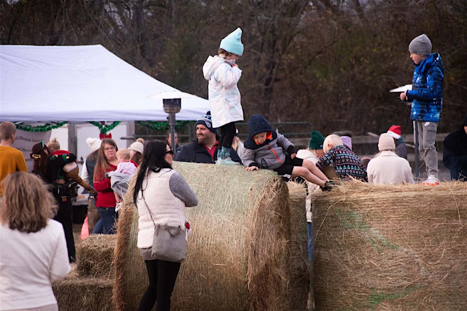 Kindred Spirits Farm- Winter Wonderland Franklin, Tenn. 6