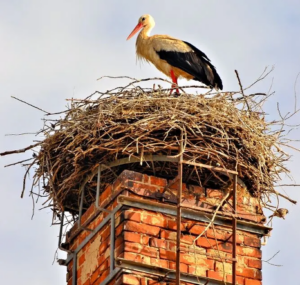 Ashbusters Fireplace and Chimney Safety 2