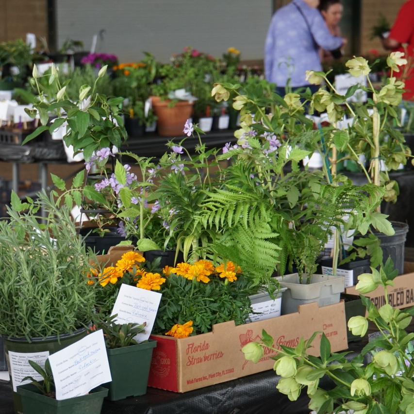 Franklin, TN Spring Garden Festival and Plant Sale by WCMGA