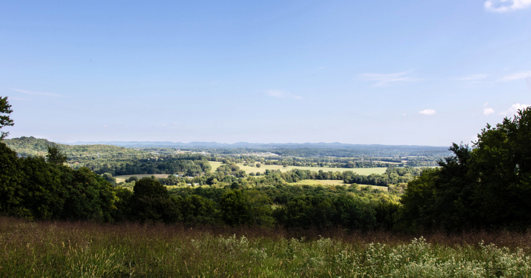 View from Peacock Hill in Arrington, TN.