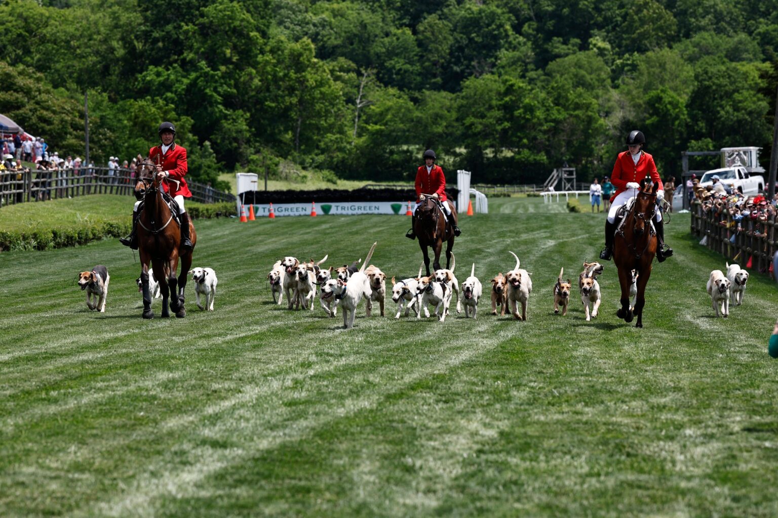 Iroquois Steeplechase Nashville, TN_Horse and Hound Iroquois Steeplechase Nashville, TN_Horse and Hound.