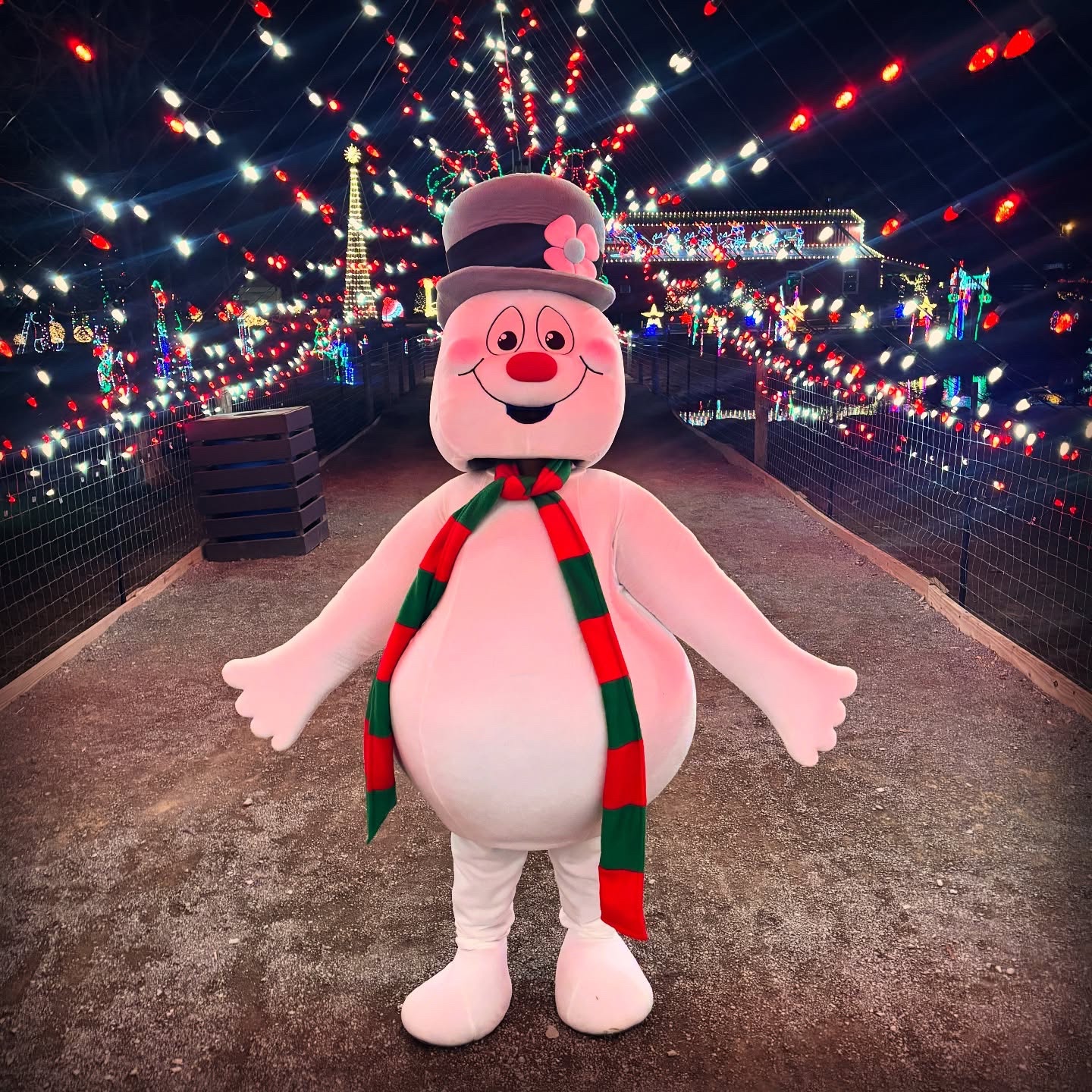 Holly Jolly Festival of Lights Event_Lucky Ladd Farms