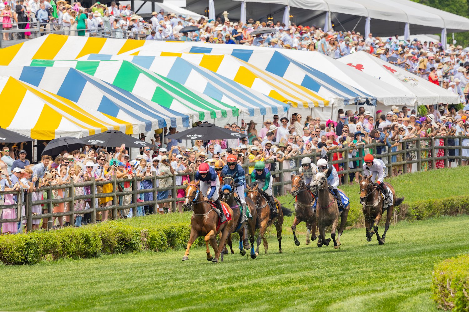Iroquois Steeplechase Nashville, Tennessee_Horse Race Day at Percy Warner Park.