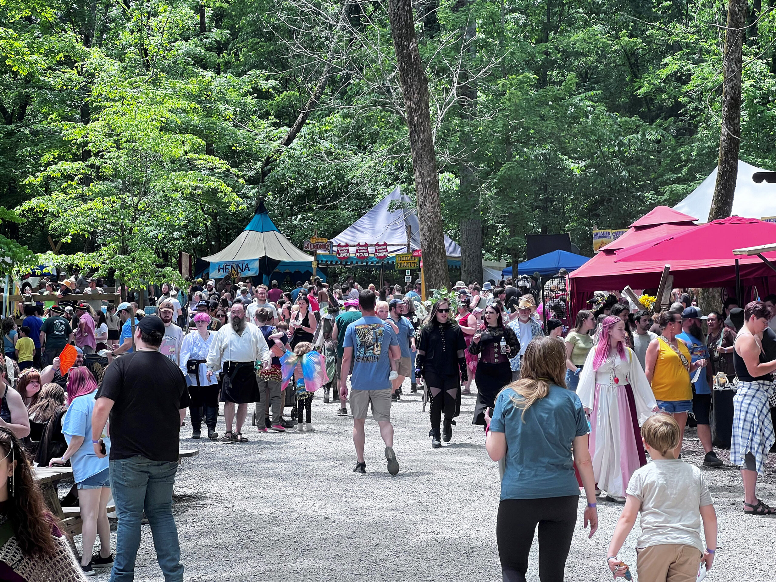 39th Annual Tennessee Renaissance Festival 2025 Arrington TN_Crowd.
