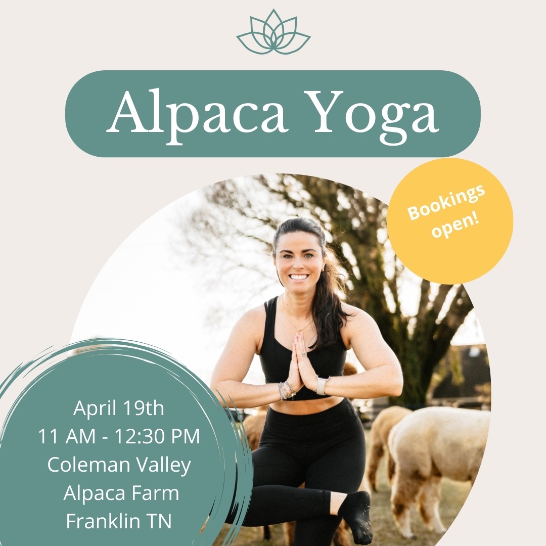 Alpaca Yoga Franklin, Tenn._Coleman Valley Alpaca Farm.