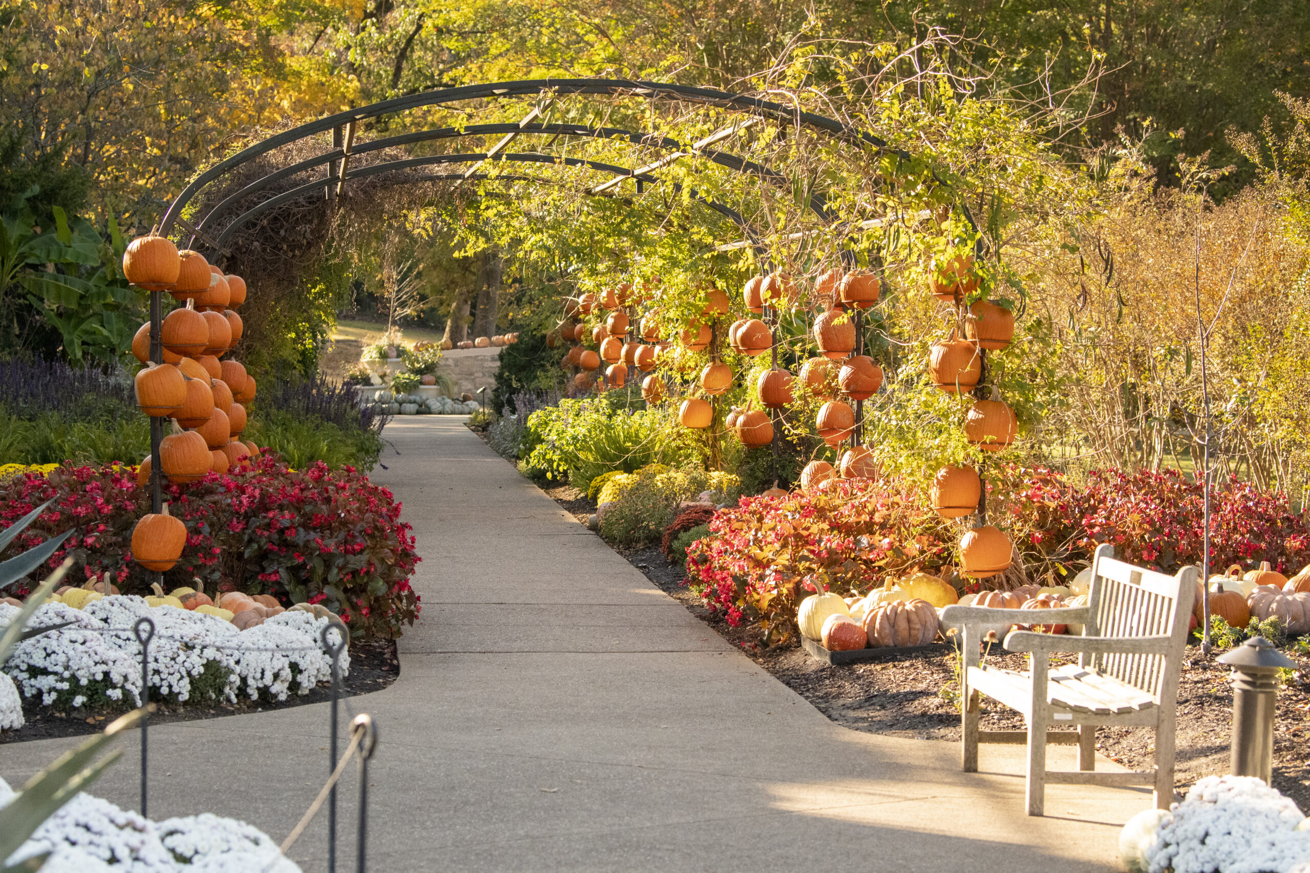 Cheekwood Harvest. Photo by Caitlin Harris. Courtesy of Cheekwood Estate & Gardens.